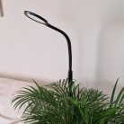 Design LED állólámpa állítható fényerővel és színhőmérséklettel - fekete