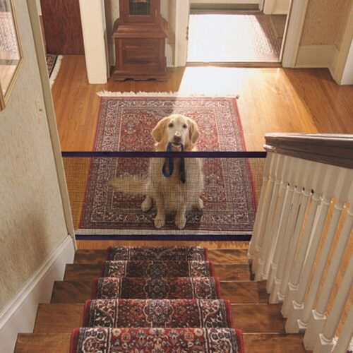Magic Gate - hálós térelválasztó kutyákhoz, 110x70 cm
