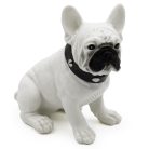 Bulldog Bluetooth hangszóró, zenelejátszó és FM rádió - fehér